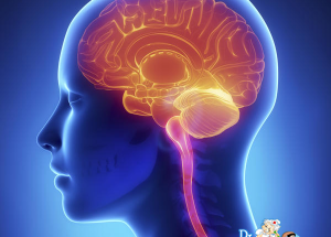 Brain Tumor, Brain Metastases, Types, Causes, Symptoms, Treatments