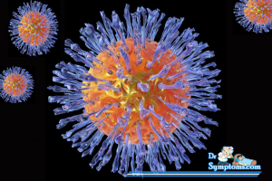 what is Herpes virus